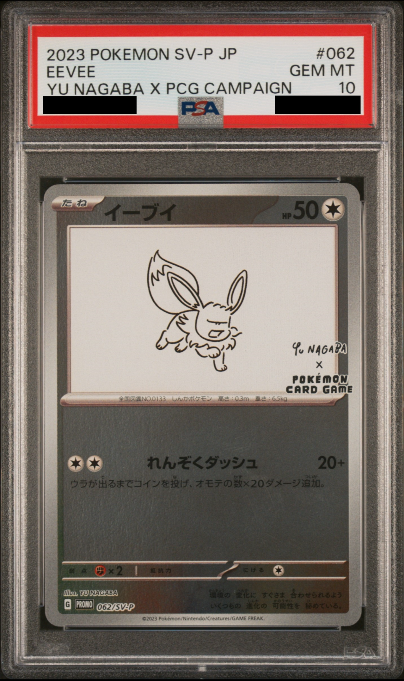 Eevee: Promo PSA 10 Japanese Pokemon Card [SV-P 062]